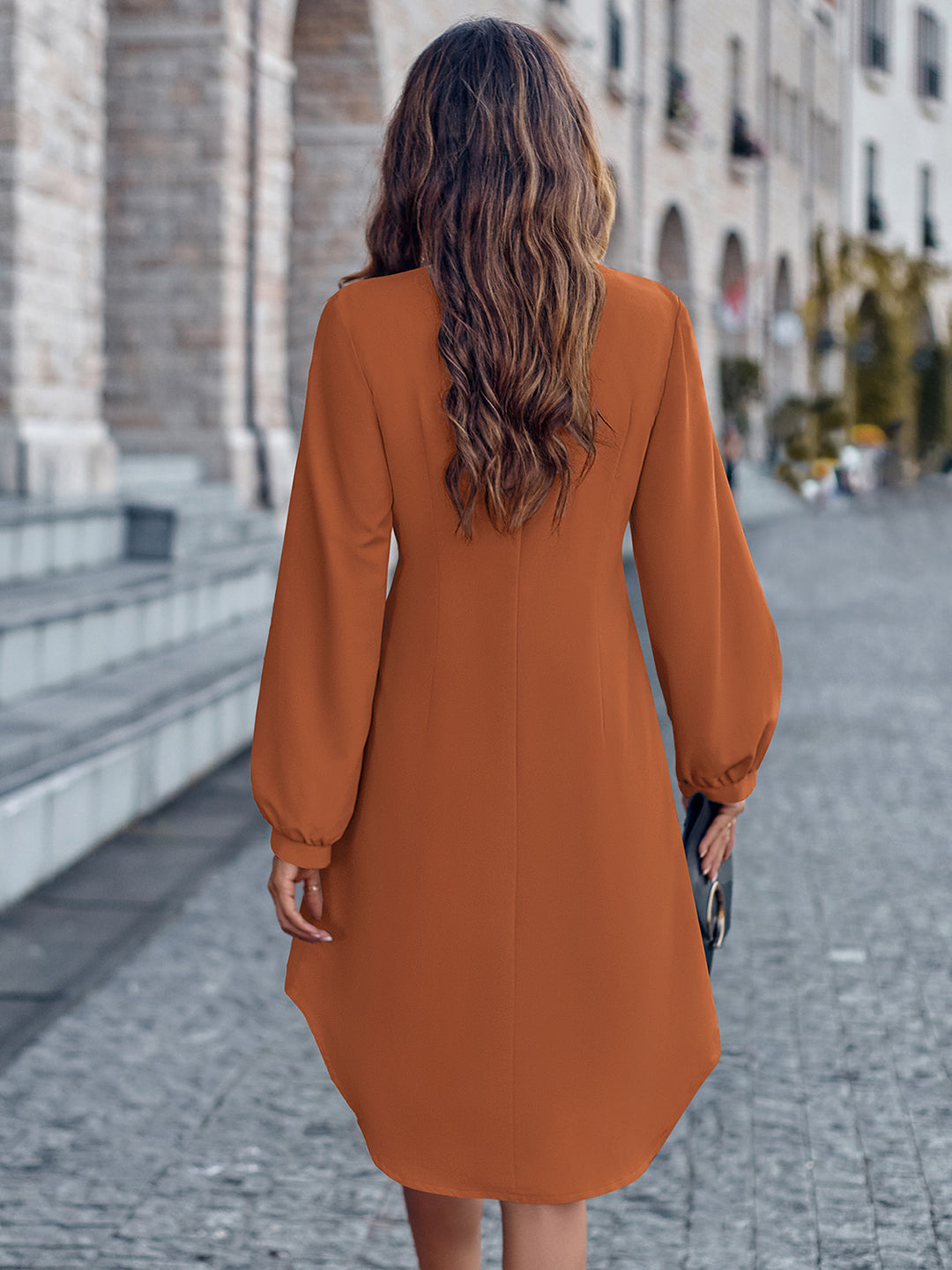 Timeless Allure: Notched Neck Long Sleeve Dress